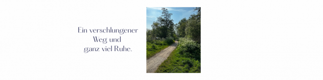 Ein verschlungener Weg und viel Ruhe.